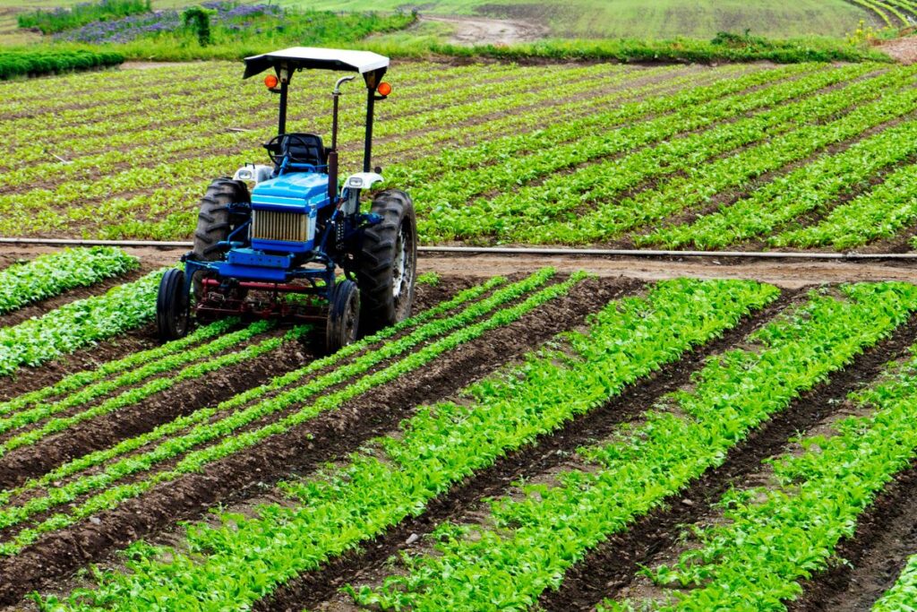 An agricultural land