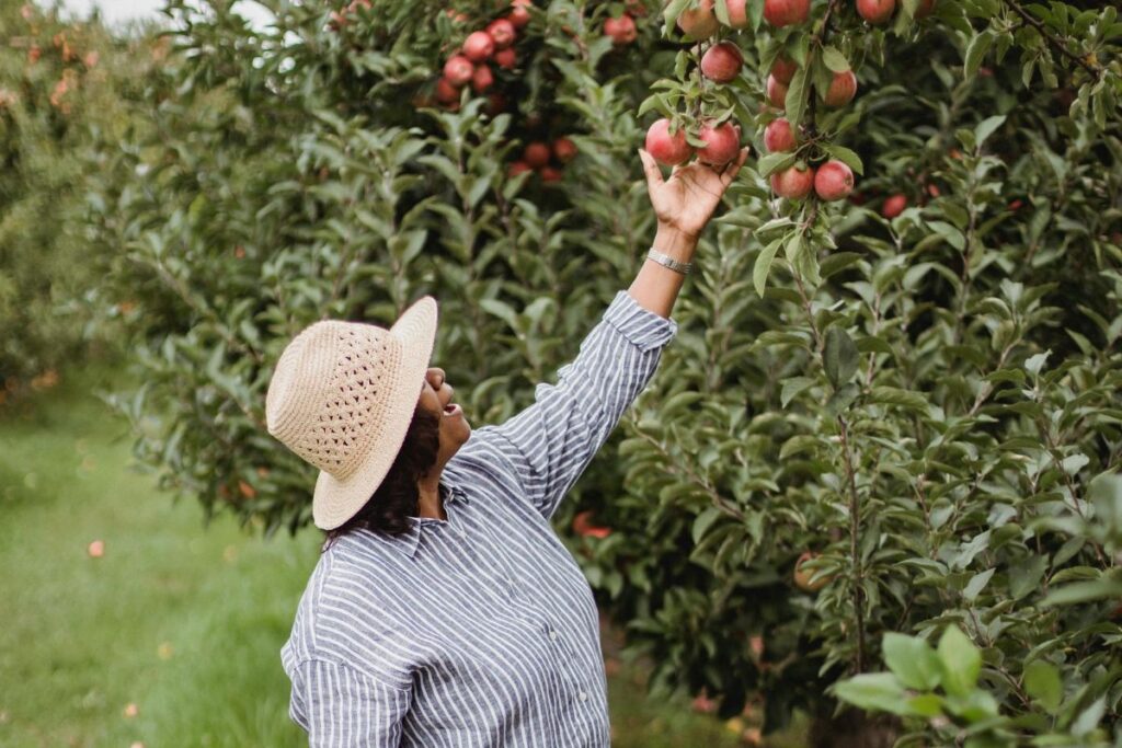 A woman plucking a fruit