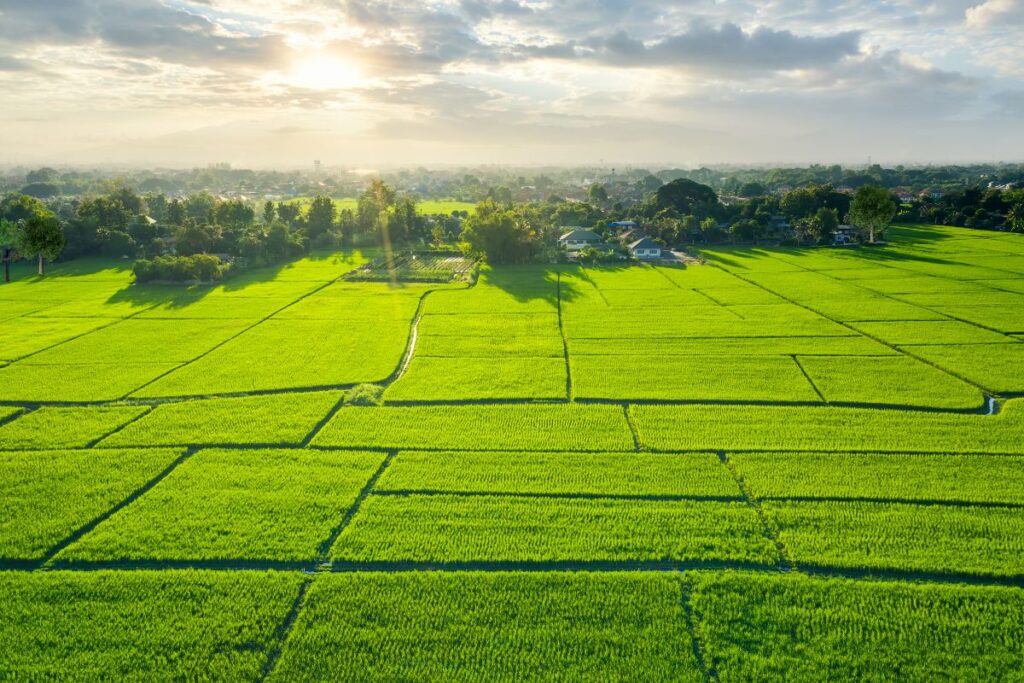 A large farm plot at sunrise